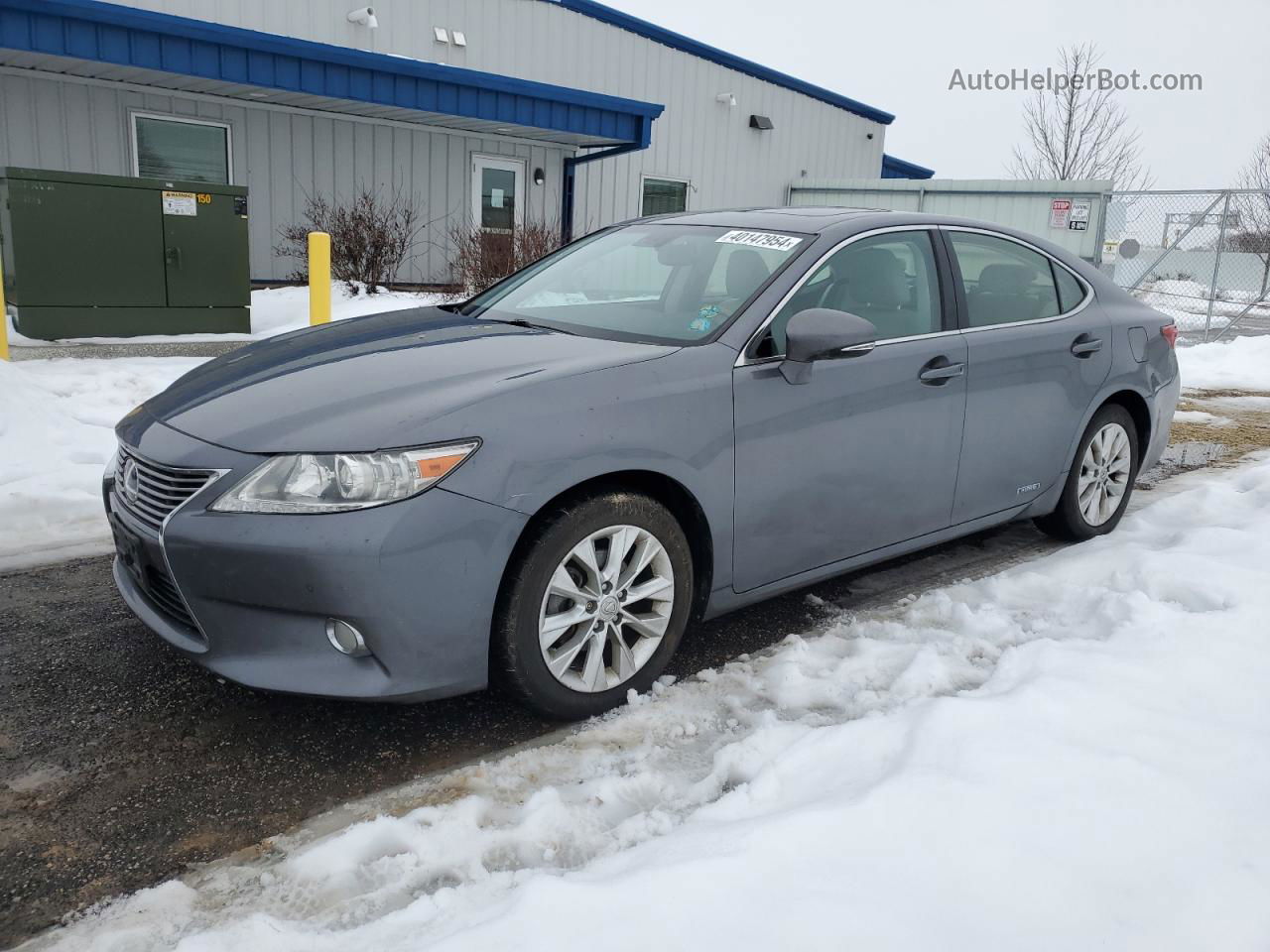 2013 Lexus Es 300h Gray vin: JTHBW1GG3D2013351