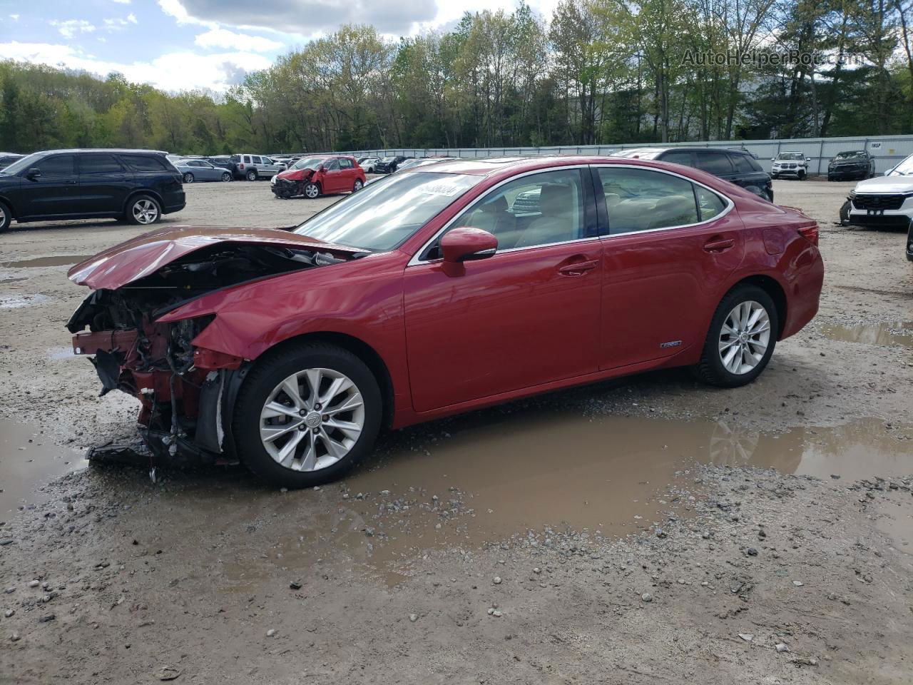 2014 Lexus Es 300h Red vin: JTHBW1GG3E2046111