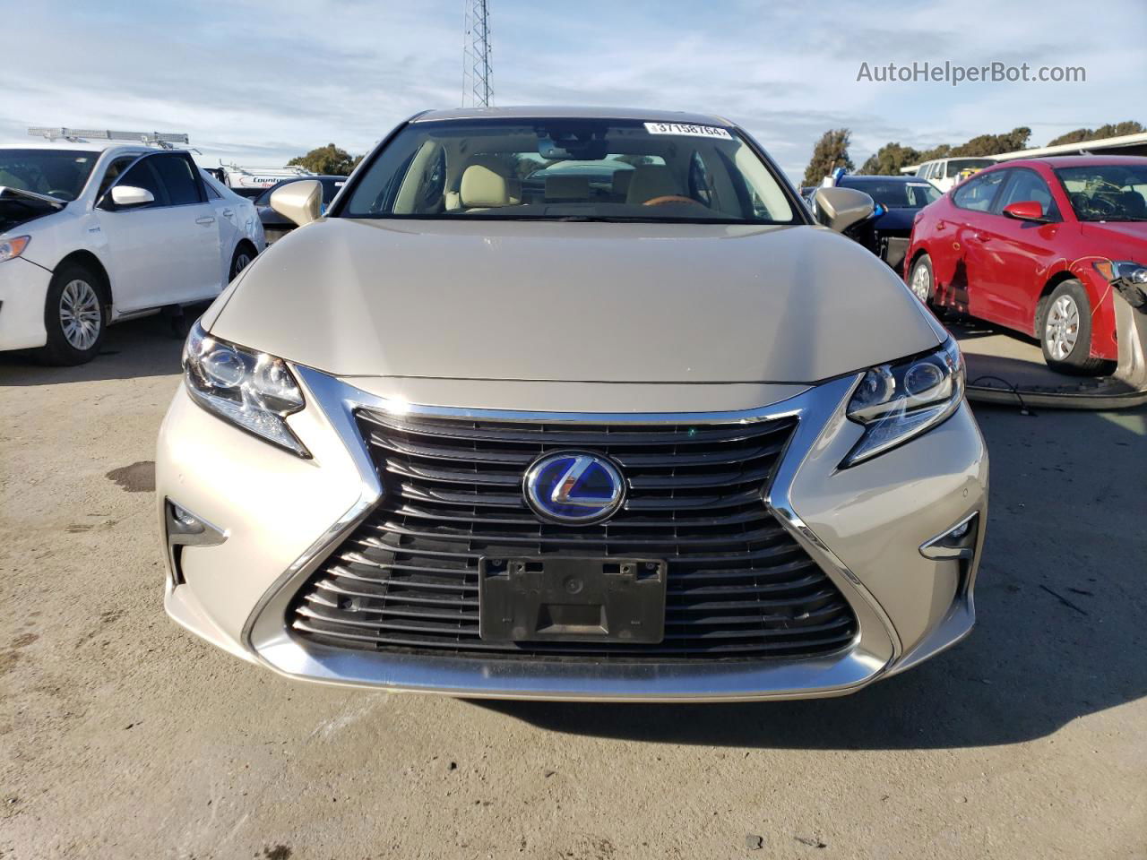 2016 Lexus Es 300h Бежевый vin: JTHBW1GG3G2127449