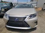 2018 Lexus Es 300h Gold vin: JTHBW1GG3J2168493