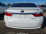 2013 Lexus Es 300h   White vin: JTHBW1GG4D2013164