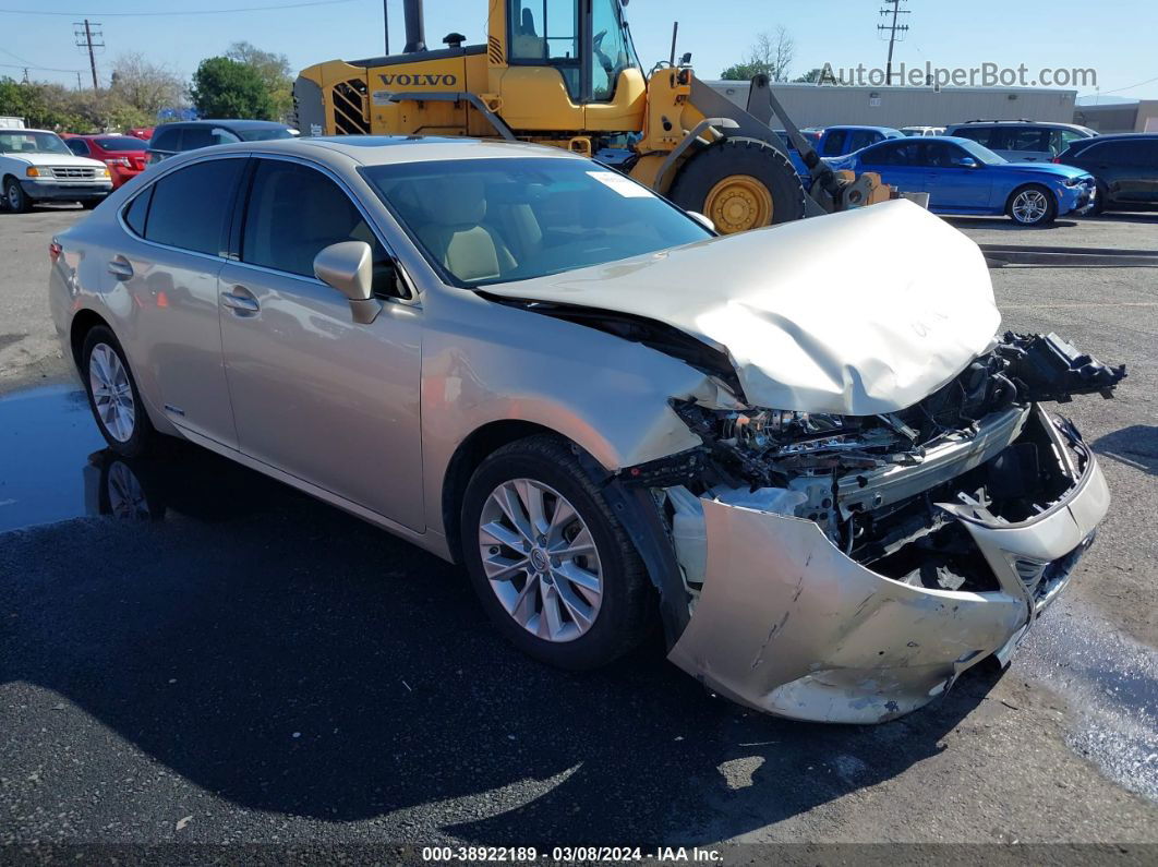 2013 Lexus Es 300h Gold vin: JTHBW1GG4D2013486