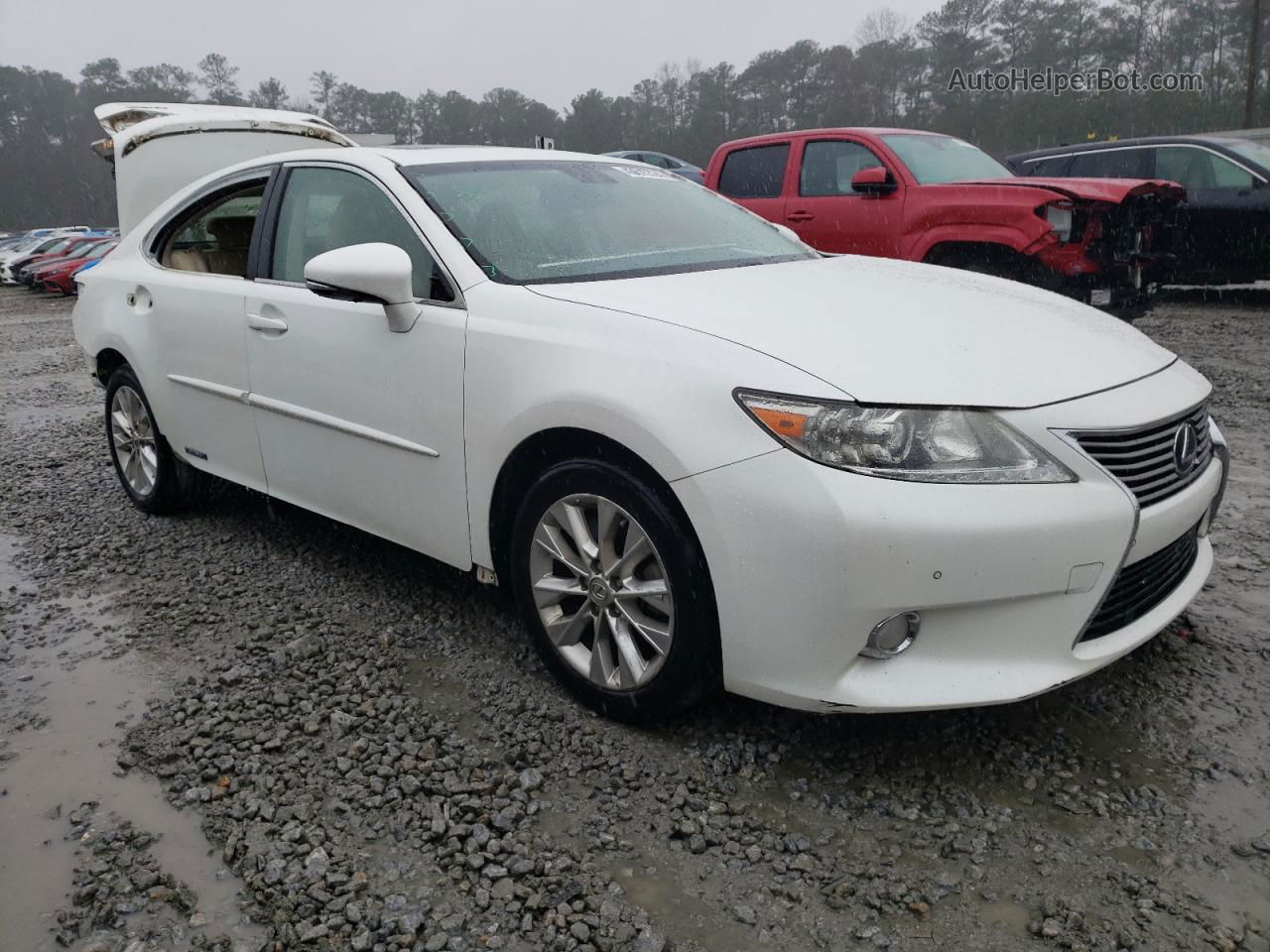 2013 Lexus Es 300h White vin: JTHBW1GG4D2016288