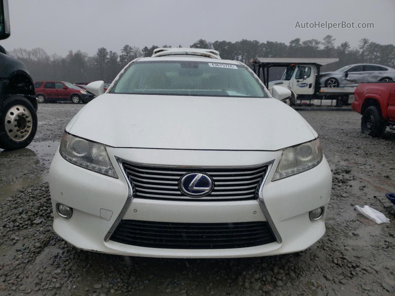 2013 Lexus Es 300h White vin: JTHBW1GG4D2016288