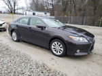 2013 Lexus Es 300h Burgundy vin: JTHBW1GG4D2031504