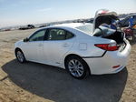 2014 Lexus Es 300h Белый vin: JTHBW1GG4E2046814