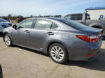 2014 Lexus Es 300h Gray vin: JTHBW1GG4E2072295