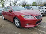 2014 Lexus Es 300h Красный vin: JTHBW1GG4E2075648