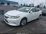 2015 Lexus Es 300h   Белый vin: JTHBW1GG4F2092371