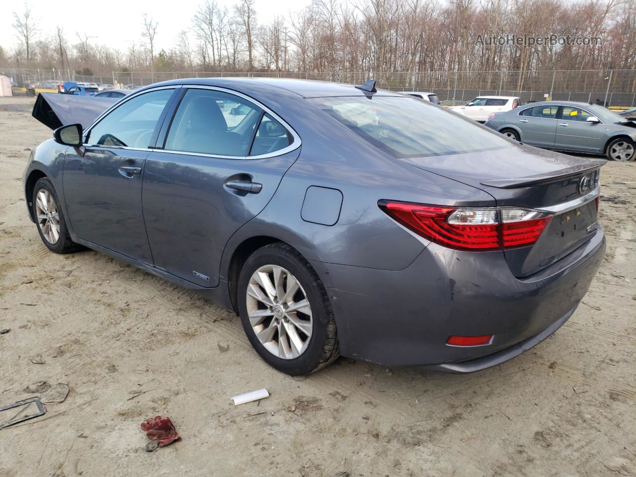 2013 Lexus Es 300h Серый vin: JTHBW1GG5D2015540