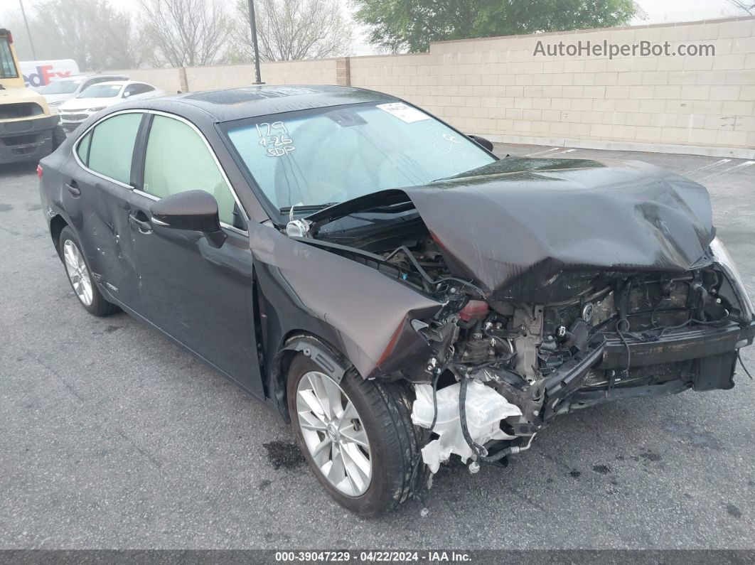 2013 Lexus Es 300h   Brown vin: JTHBW1GG6D2008354