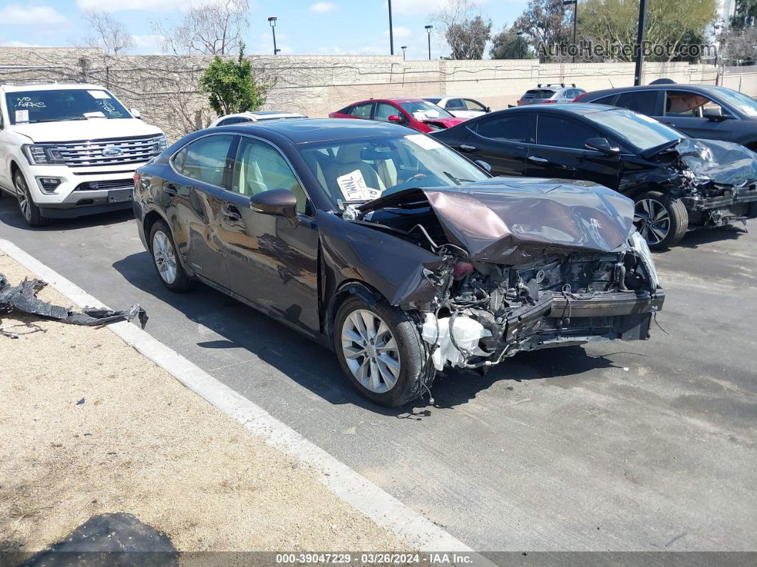 2013 Lexus Es 300h   Brown vin: JTHBW1GG6D2008354