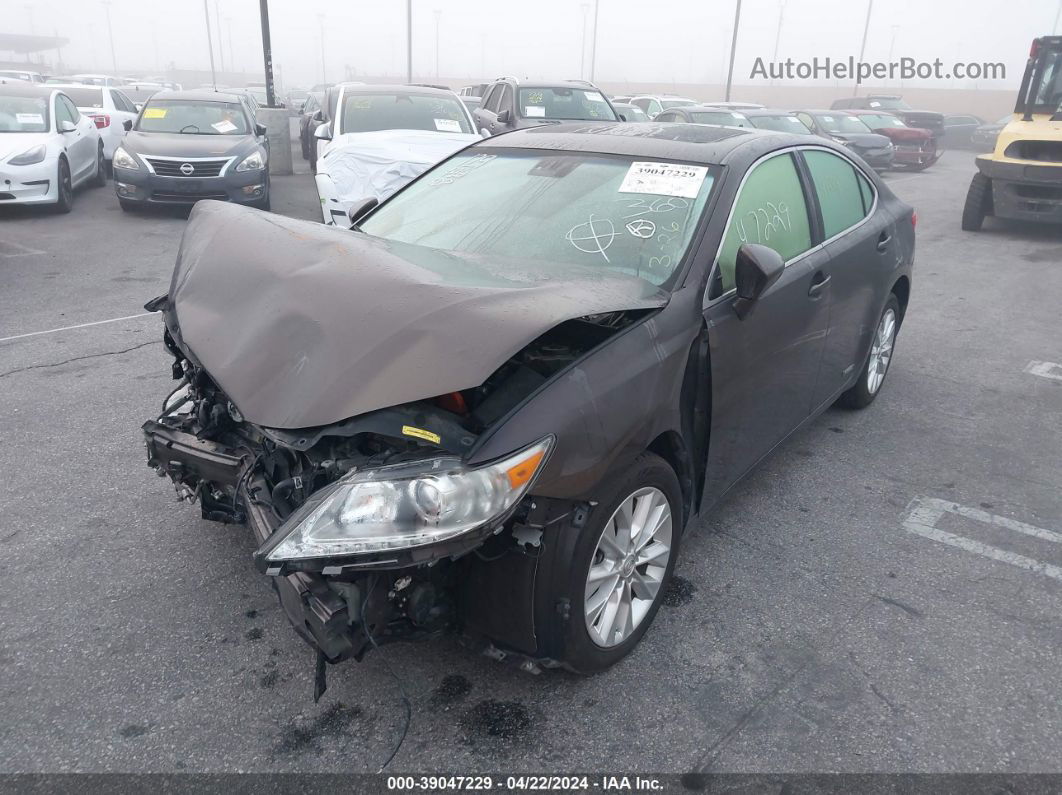 2013 Lexus Es 300h   Brown vin: JTHBW1GG6D2008354