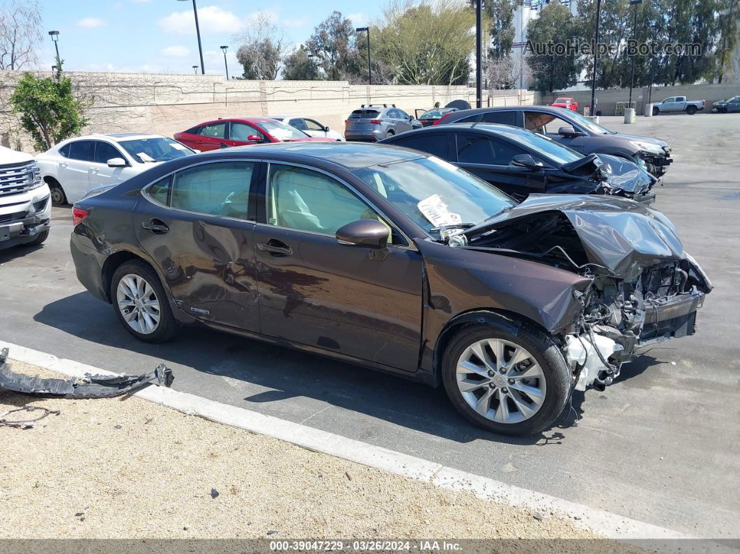 2013 Lexus Es 300h   Brown vin: JTHBW1GG6D2008354