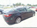 2013 Lexus Es 300h Hybrid Brown vin: JTHBW1GG6D2010170