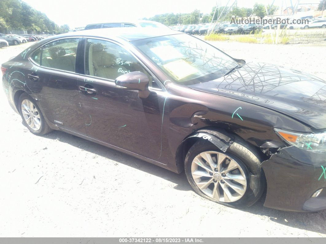 2013 Lexus Es 300h Hybrid Brown vin: JTHBW1GG6D2010170