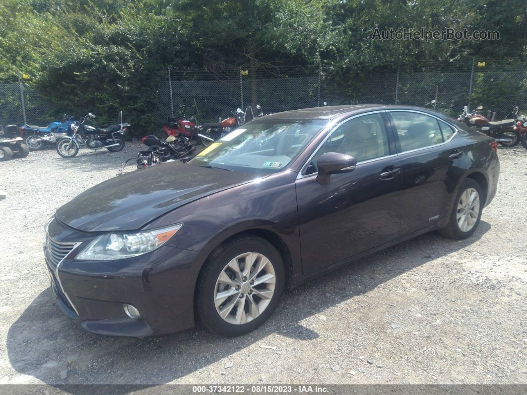 2013 Lexus Es 300h Hybrid Brown vin: JTHBW1GG6D2010170