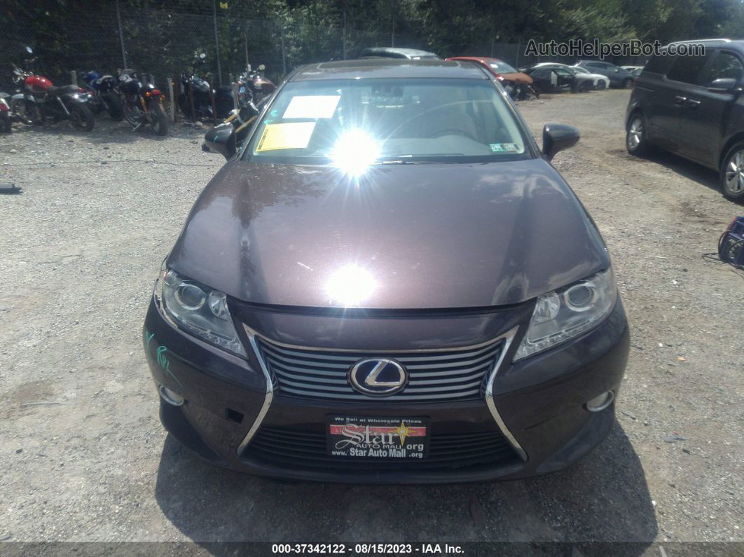 2013 Lexus Es 300h Hybrid Brown vin: JTHBW1GG6D2010170