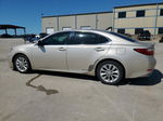 2014 Lexus Es 300h Gold vin: JTHBW1GG6E2068927