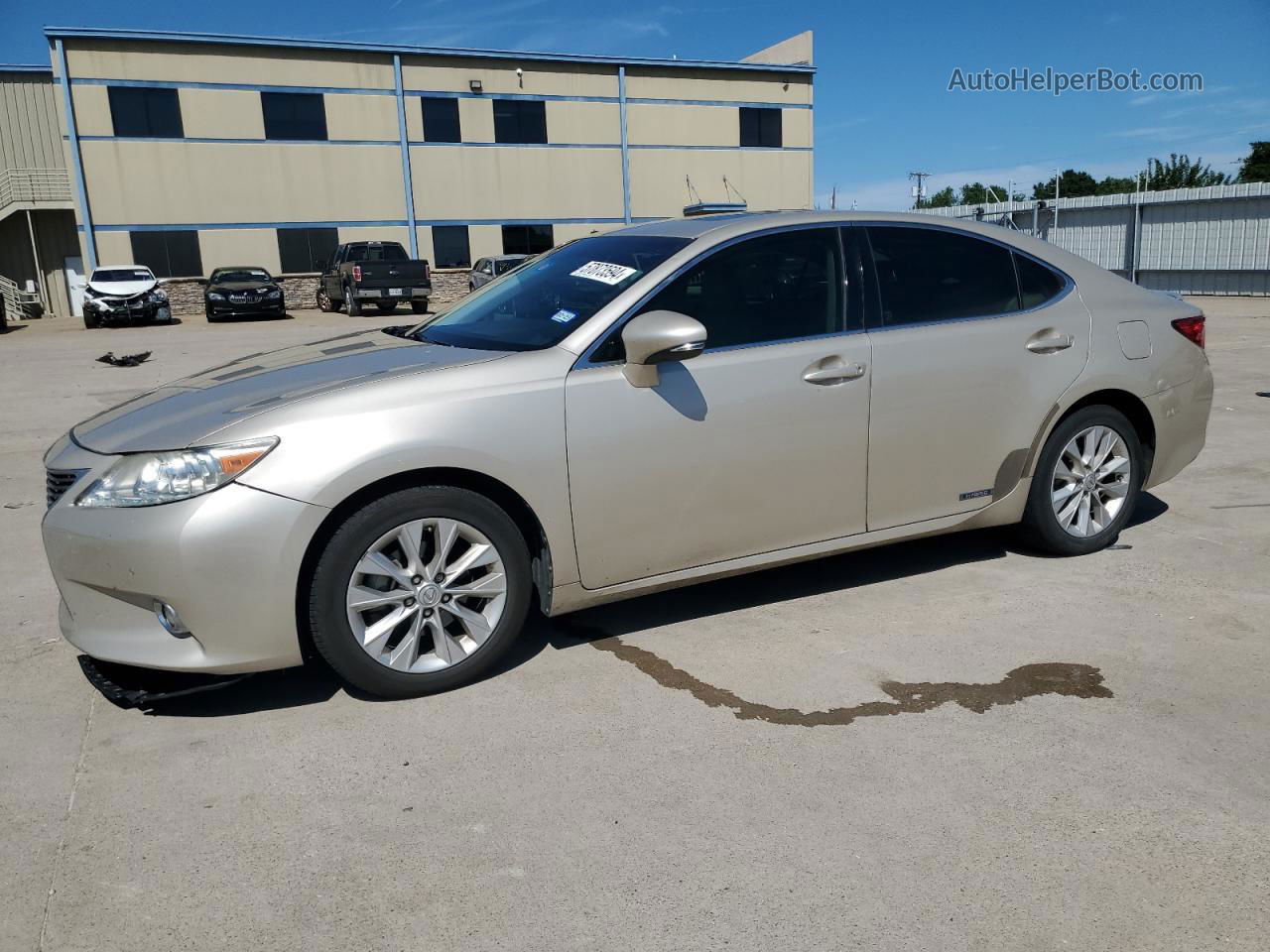 2014 Lexus Es 300h Gold vin: JTHBW1GG6E2068927