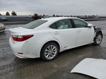 2014 Lexus Es 300h Белый vin: JTHBW1GG6E2073156