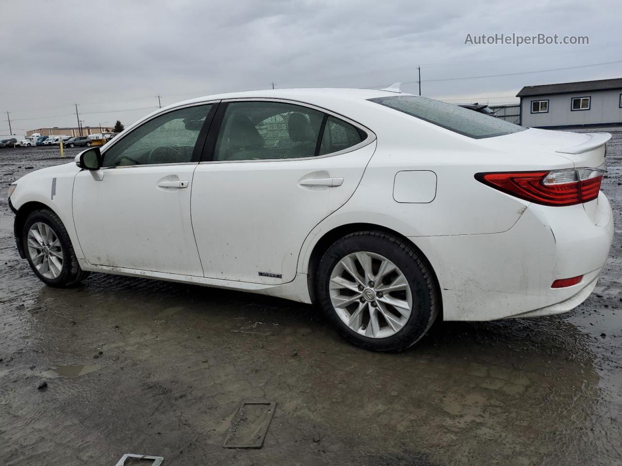 2014 Lexus Es 300h Белый vin: JTHBW1GG6E2073156