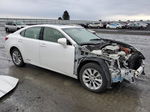 2014 Lexus Es 300h Белый vin: JTHBW1GG6E2073156