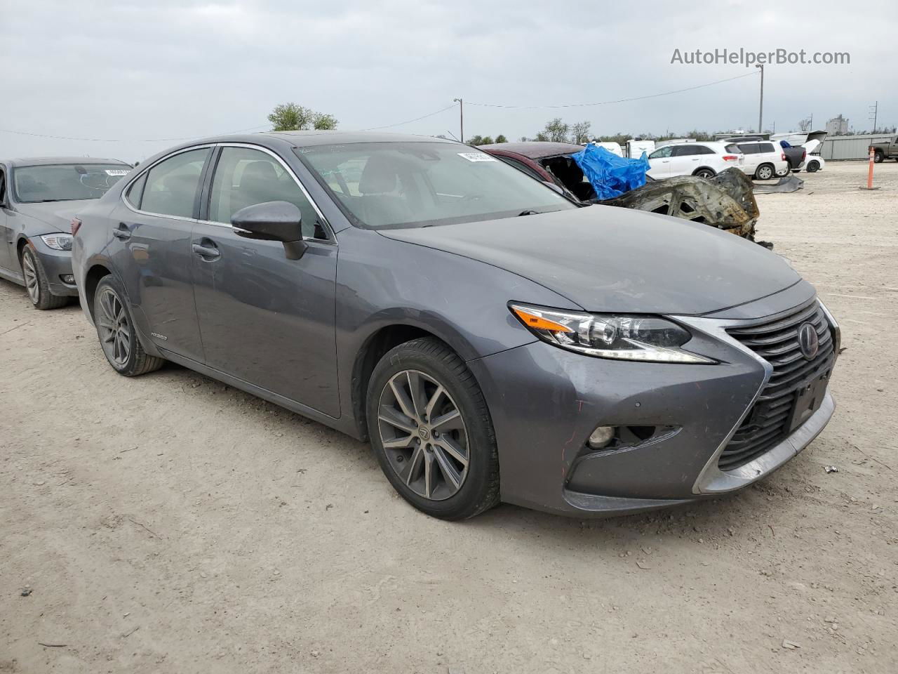 2016 Lexus Es 300h Gray vin: JTHBW1GG6G2122827