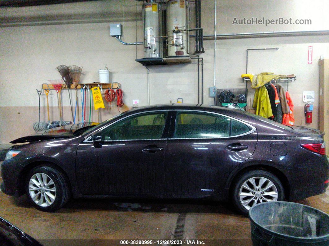 2013 Lexus Es 300h   Коричневый vin: JTHBW1GG7D2010176