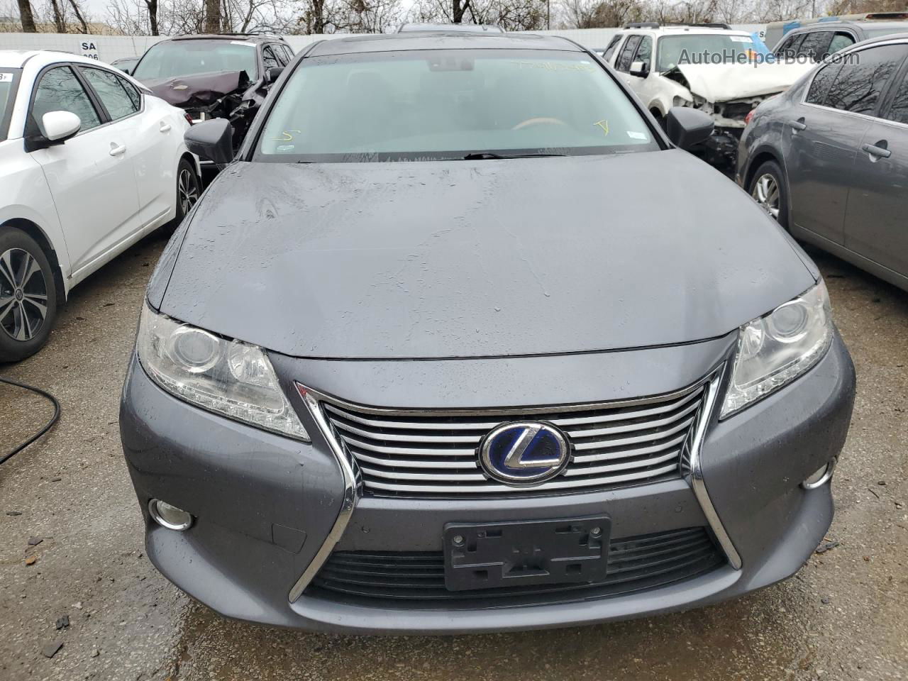 2013 Lexus Es 300h Серый vin: JTHBW1GG7D2030167