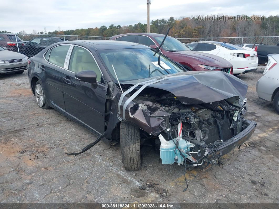 2013 Lexus Es 300h Purple vin: JTHBW1GG8D2011000