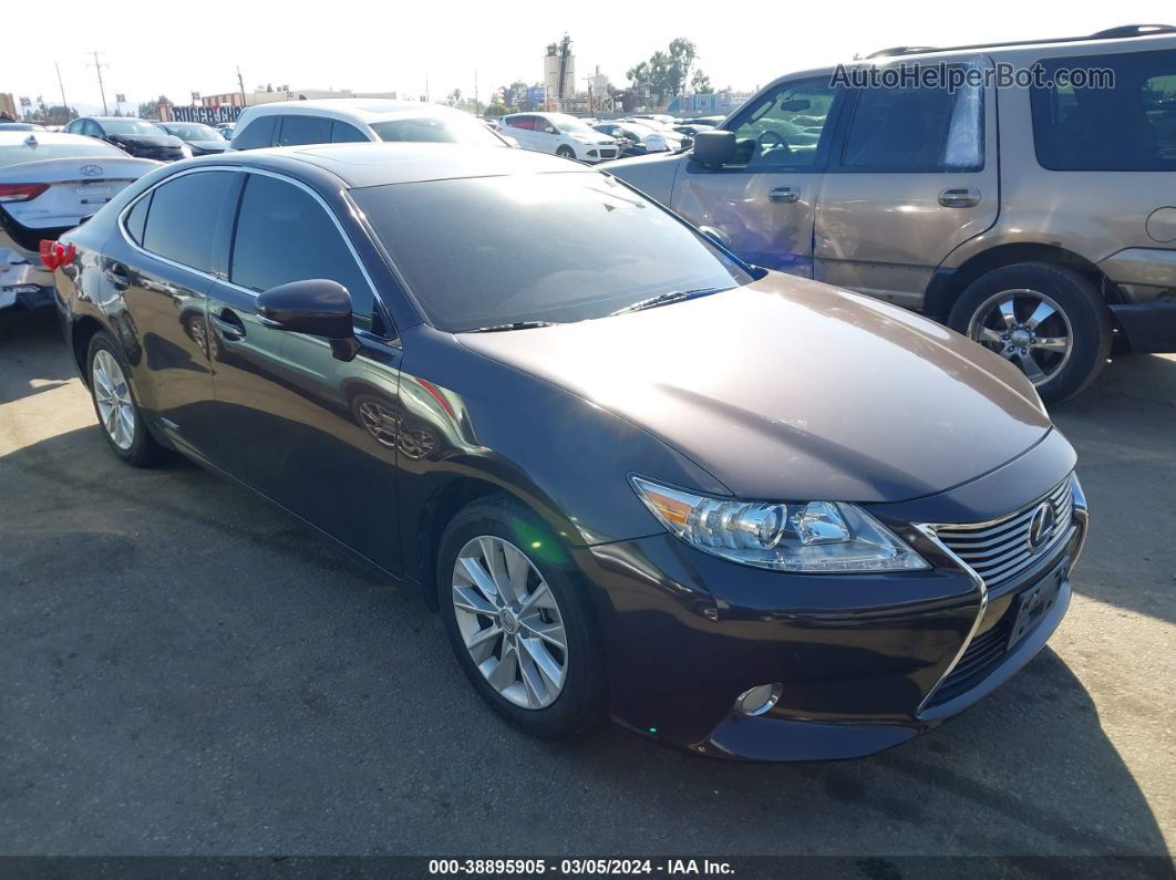 2013 Lexus Es 300h   Dark Brown vin: JTHBW1GG8D2016567