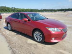 2014 Lexus Es 300h Red vin: JTHBW1GG8E2052437