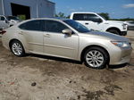 2015 Lexus Es 300h Tan vin: JTHBW1GG8F2081552