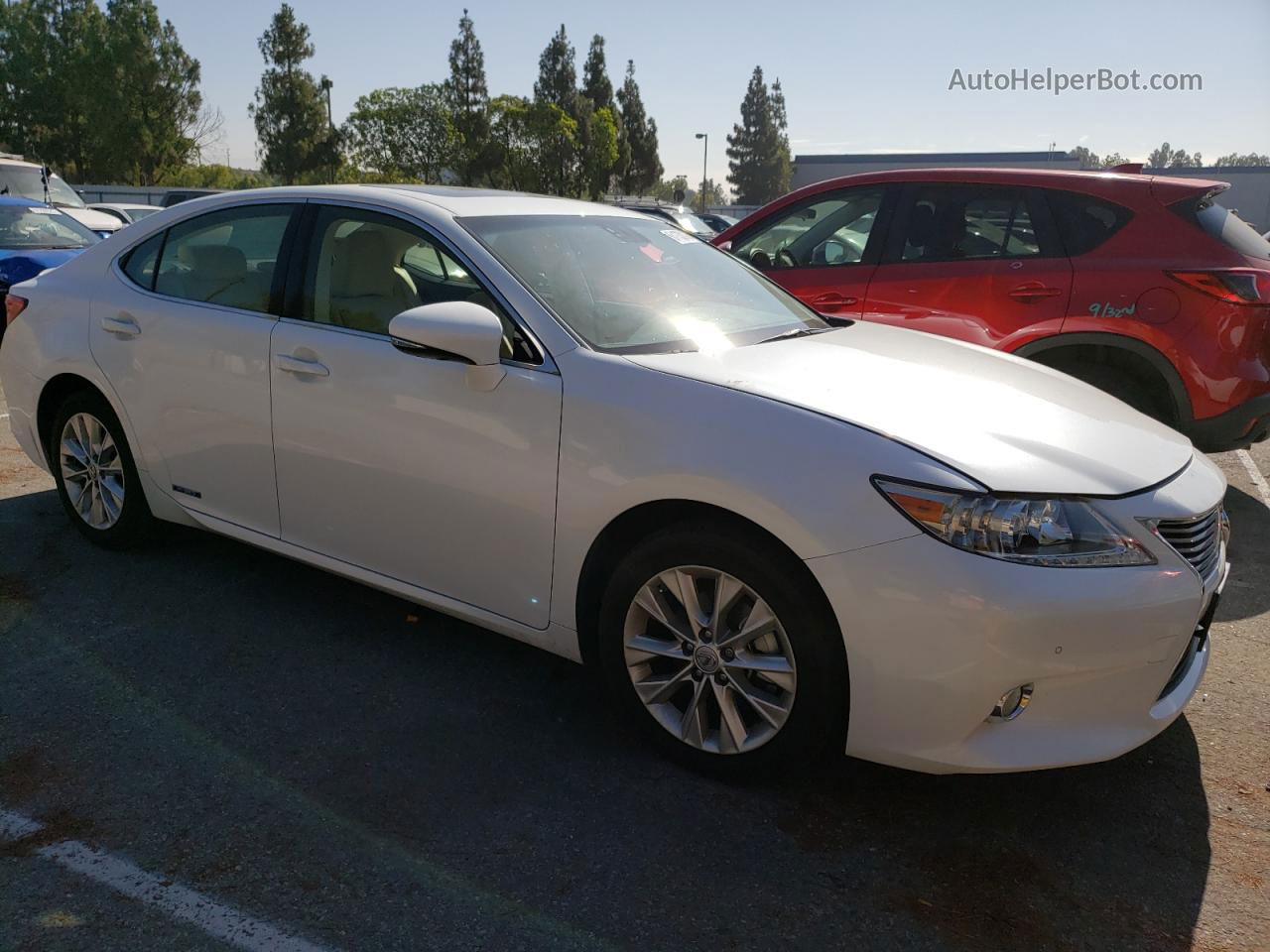 2013 Lexus Es 300h Белый vin: JTHBW1GG9D2037783