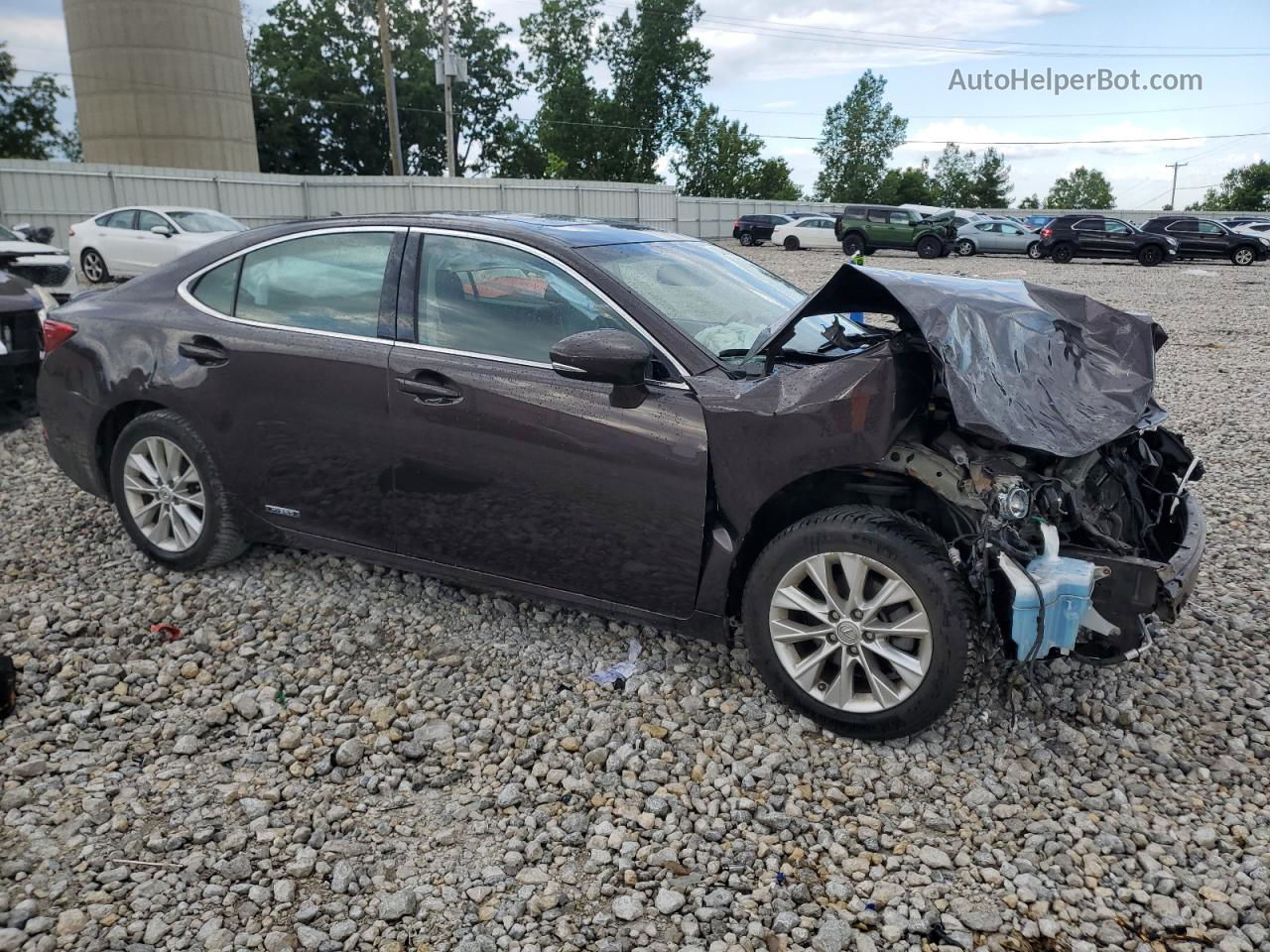 2014 Lexus Es 300h Brown vin: JTHBW1GGXE2045277