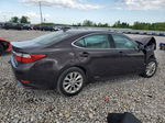 2014 Lexus Es 300h Brown vin: JTHBW1GGXE2045277