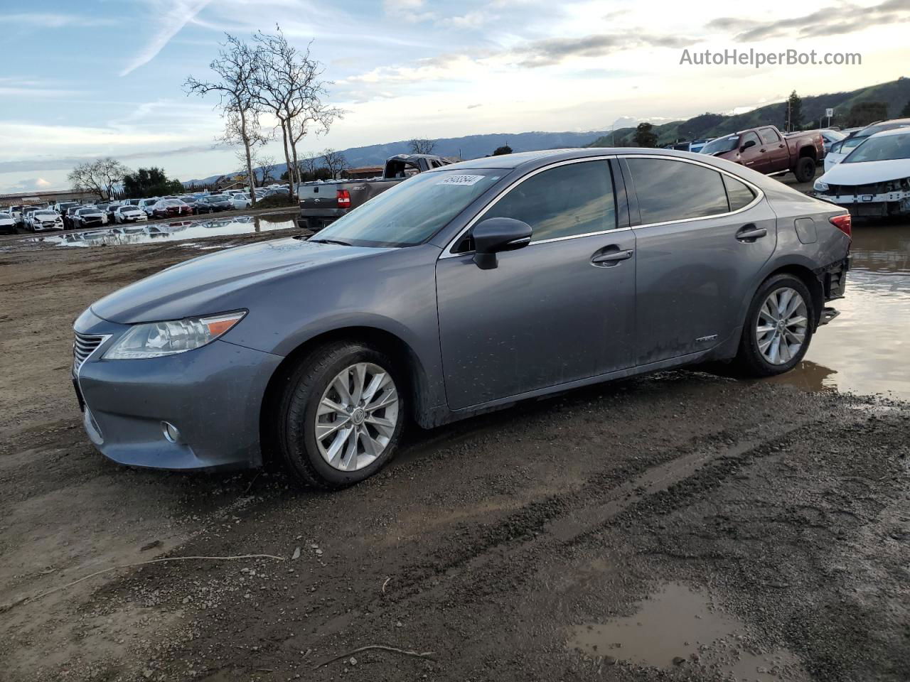 2014 Lexus Es 300h Серый vin: JTHBW1GGXE2050740