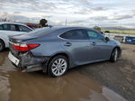 2014 Lexus Es 300h Gray vin: JTHBW1GGXE2050740