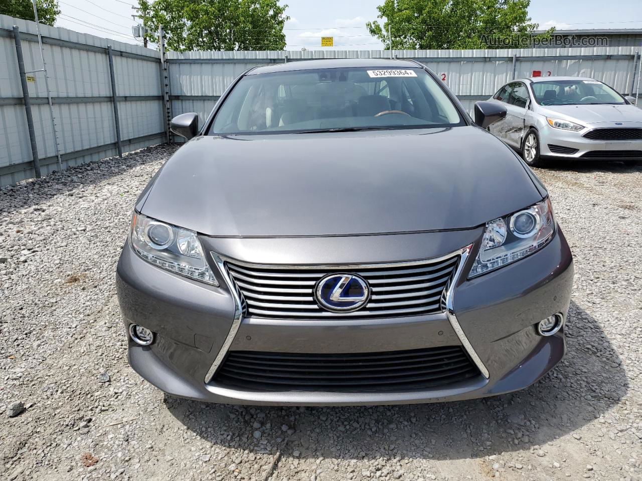 2014 Lexus Es 300h Gray vin: JTHBW1GGXE2070888