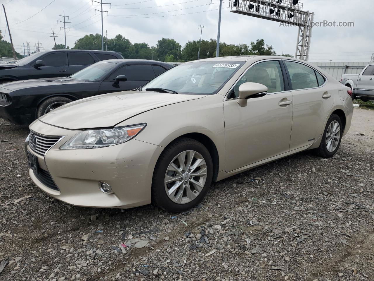 2014 Lexus Es 300h Tan vin: JTHBW1GGXE2075265