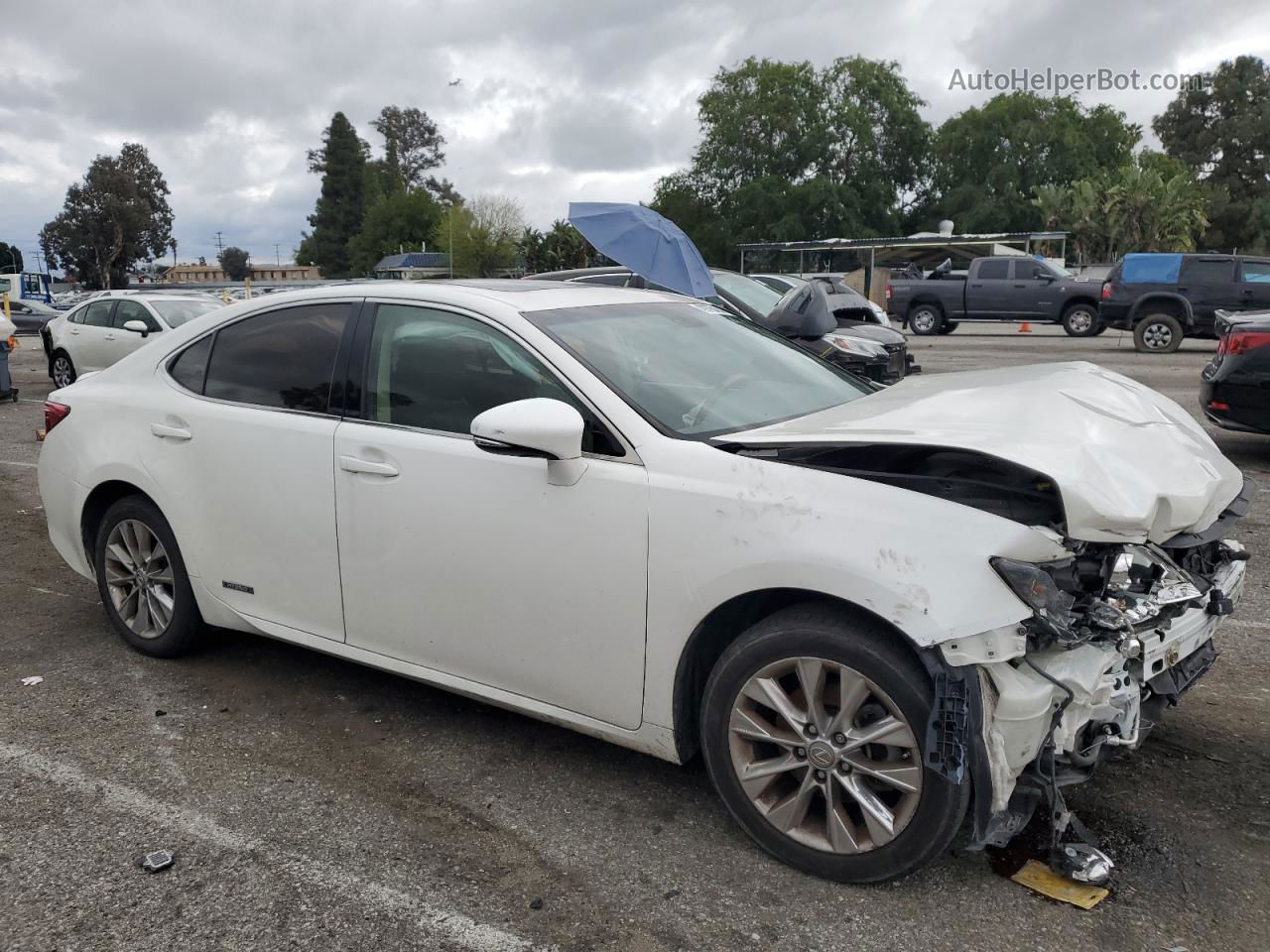 2014 Lexus Es 300h White vin: JTHBW1GGXE2075489