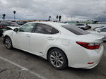 2014 Lexus Es 300h Белый vin: JTHBW1GGXE2075489