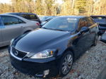 2007 Lexus Is 250 Black vin: JTHCK262375015244