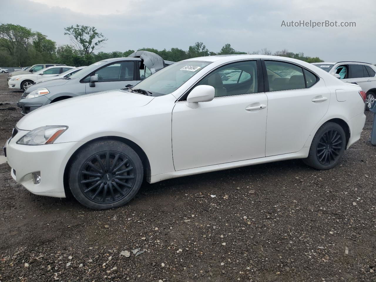 2007 Lexus Is 250 White vin: JTHCK262975014230