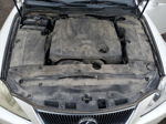 2007 Lexus Is 250 Белый vin: JTHCK262975014230