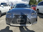 2020 Lexus Is 300 Premium Серый vin: JTHDA1D23L5107159