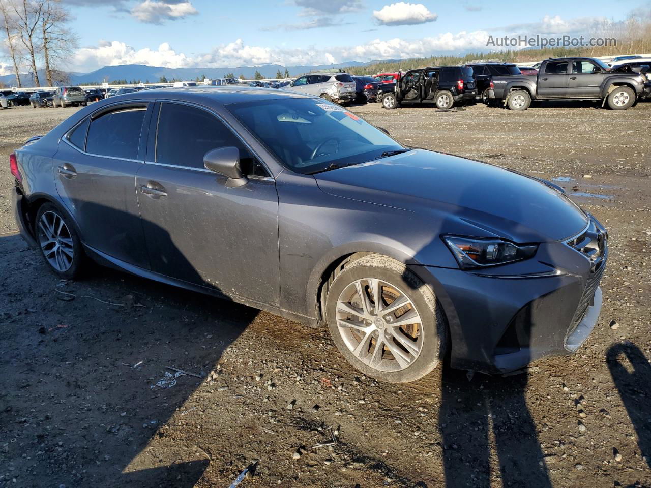 2020 Lexus Is 300 Premium Gray vin: JTHDA1D24L5107591