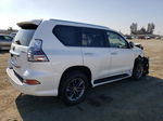 2022 Lexus Gx 460 Белый vin: JTJAM7BX9N5329220