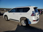 2022 Lexus Gx 460 White vin: JTJAM7BX9N5335356